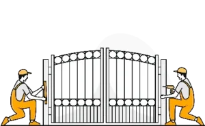 Professional Installation Services