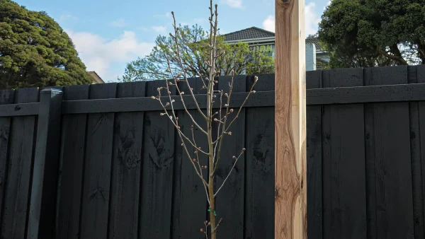 Fence repainting and refinishing service in florida