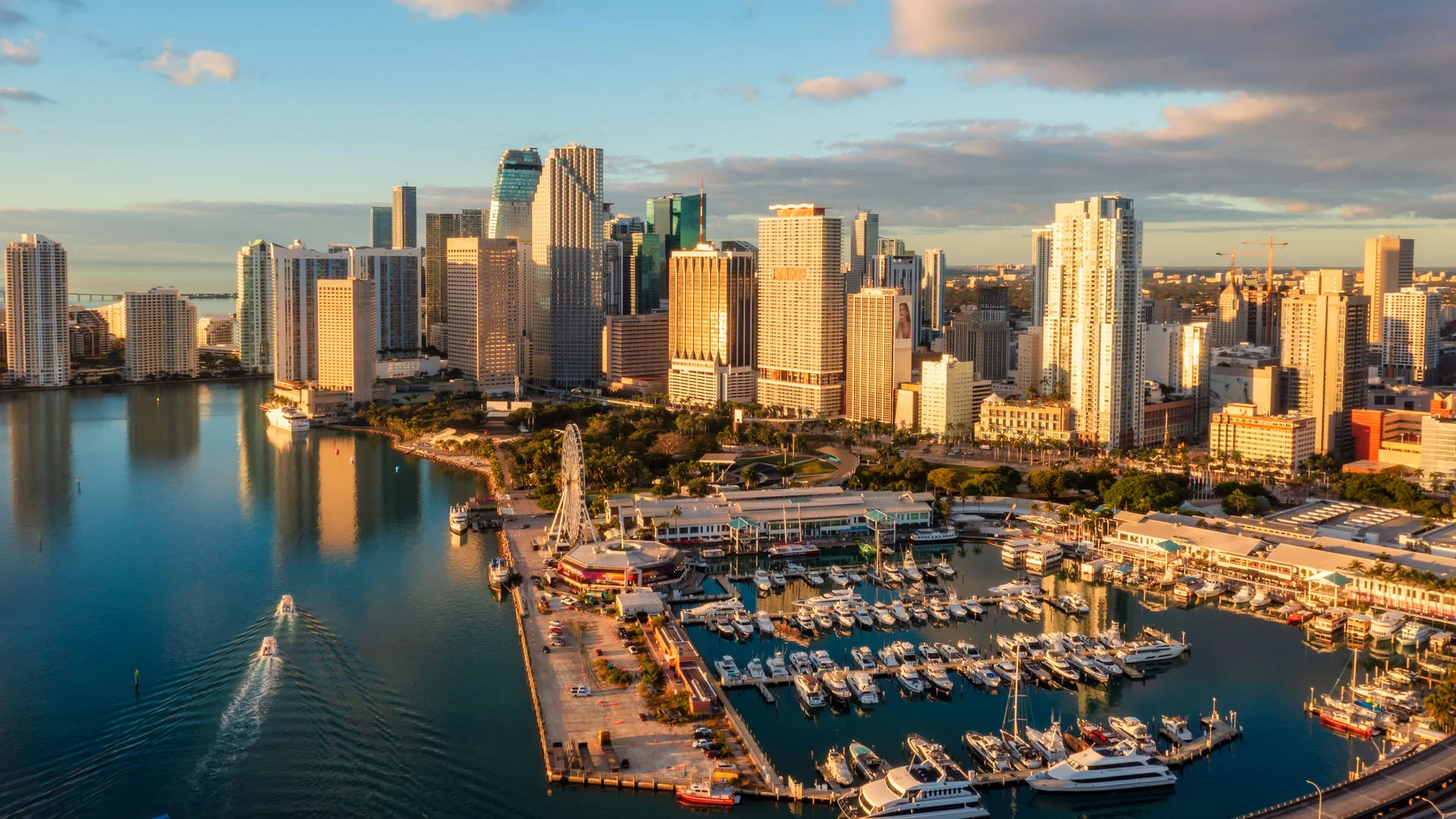 Sunny Automatic Gates FL serving Miami with gate, fence, and garage door services