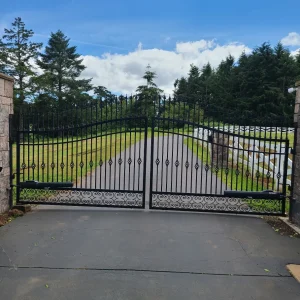 Ornamental wrought iron driveway gate with decorative elements